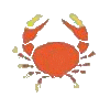 Crab'ccueil